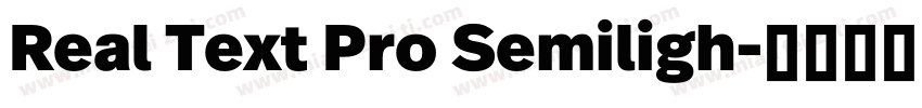 Real Text Pro Semiligh字体转换